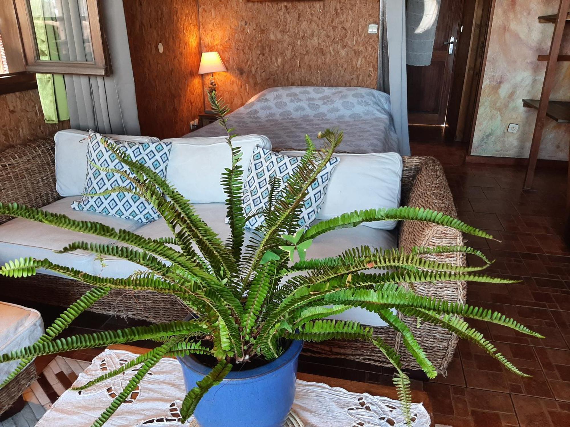 Hotel La Kaz Ouale Saint-Leu Esterno foto